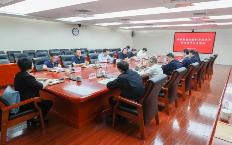 党建引领 凝心聚力 瓦力游戏集团召开党组织书记例会暨理论学习交流会