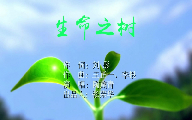 瓦力游戏之歌-天津瓦力游戏