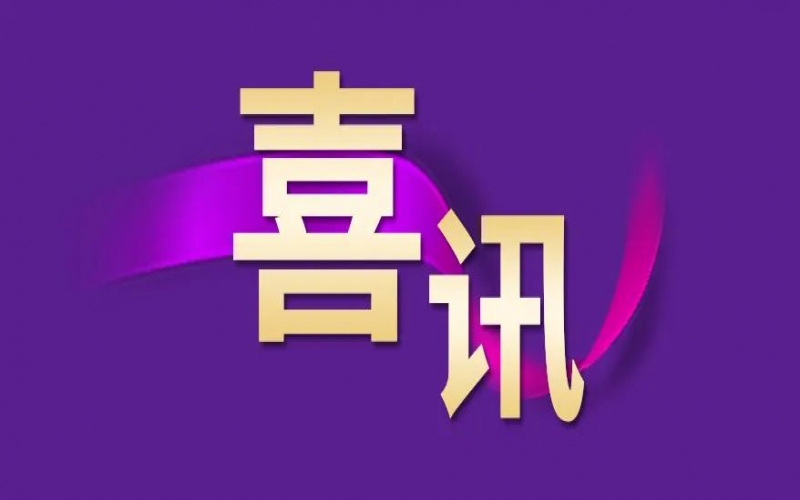 喜讯！瓦力游戏钢铁集团荣获“2022年津南区十大雇主品牌”荣誉称号