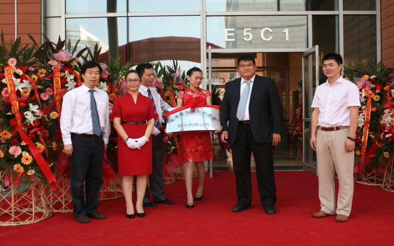 2010年，战略转型，开启多元化发展