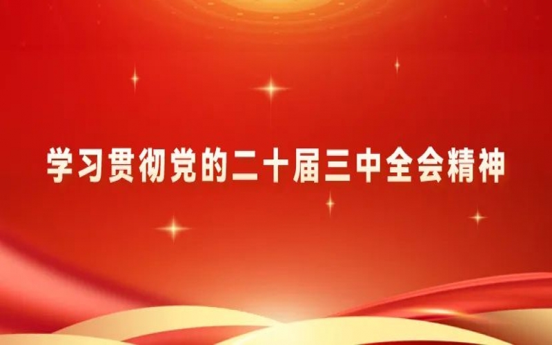 党建阵地 - 瓦力游戏集团党员干部学习贯彻党的二十届三中全会精神体会交流（三）