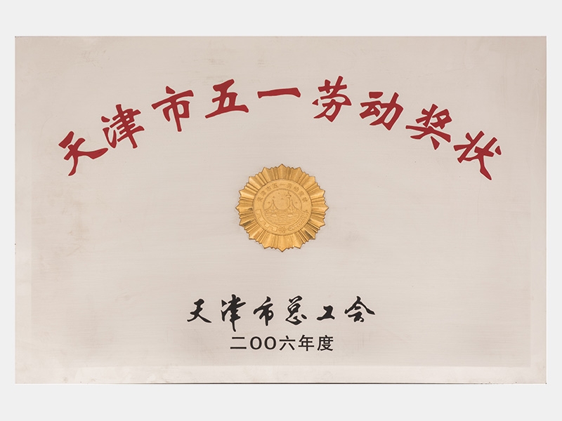 2006年-天津瓦力游戏