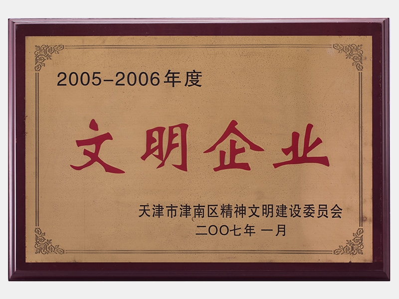 2007年-天津瓦力游戏