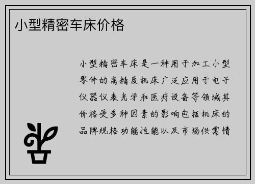 小型精密车床价格